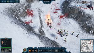 Nordic Warriors