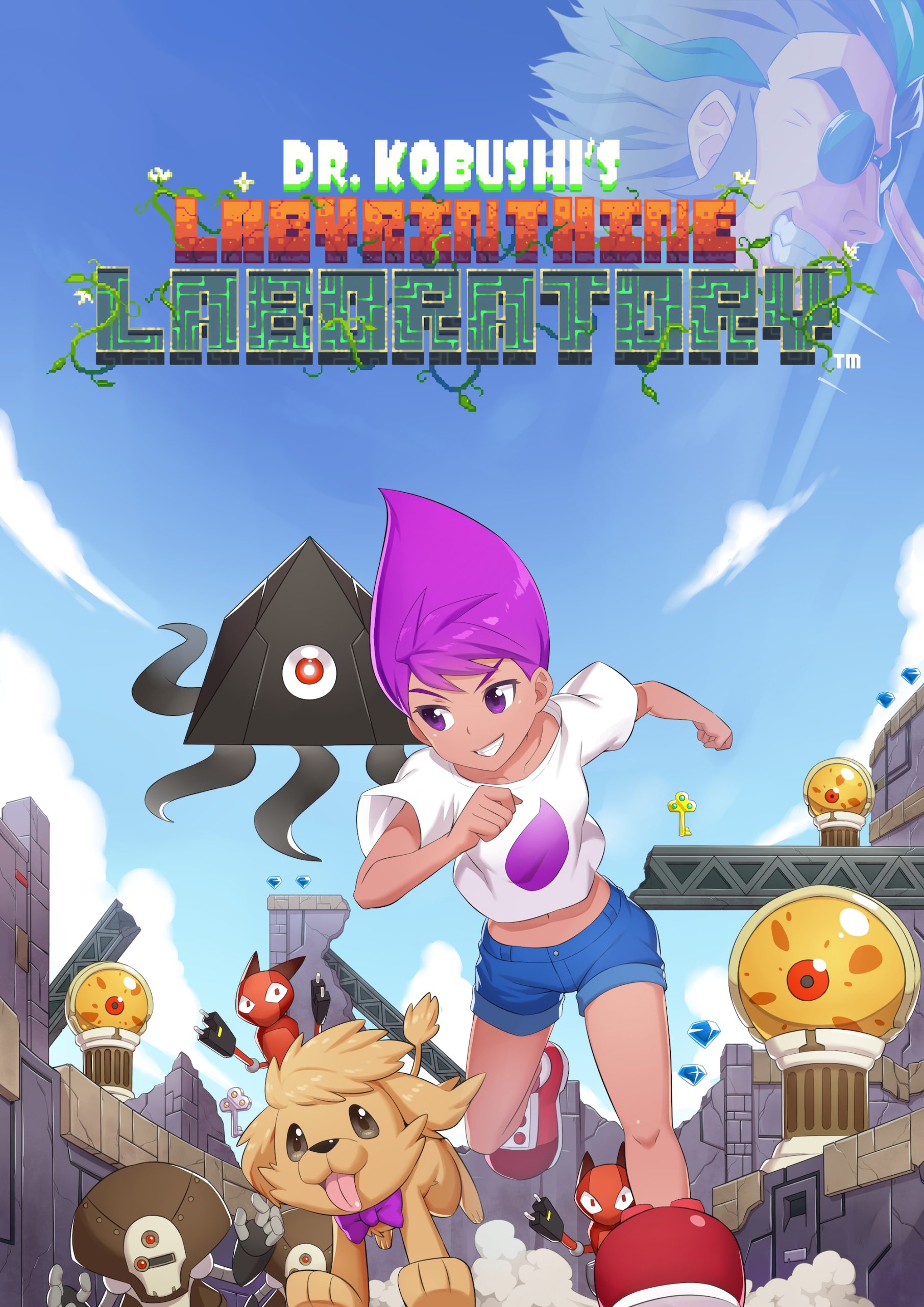 Dr Kobushis Labyrinthine Laboratory