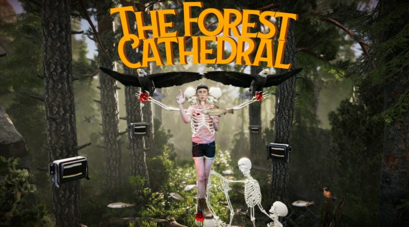 Forest Cathedral