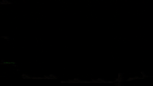 Chronicles of the Wolf