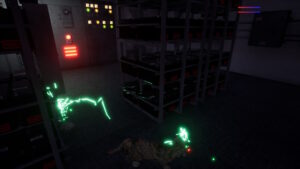 Ship's Cat